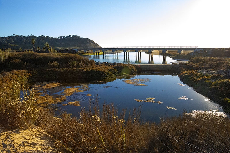 Los Peñasquitos Watershed