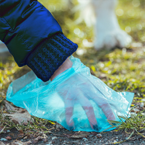photo of person cleaning up pet waste