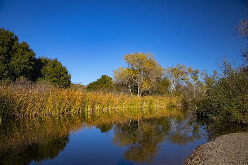 San Diego River Watershed