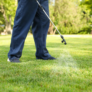 Man spraying lawn with chemicals