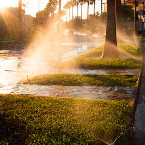 over-irrigation runoff