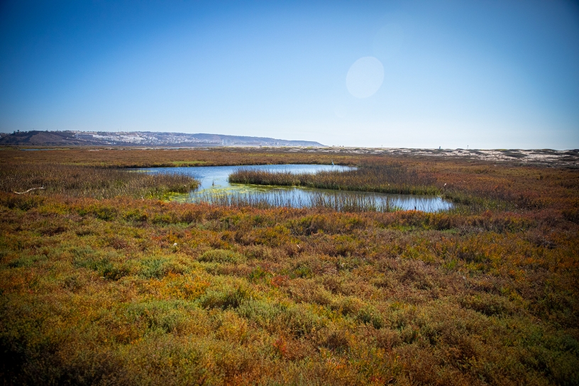 San Diego Watersheds