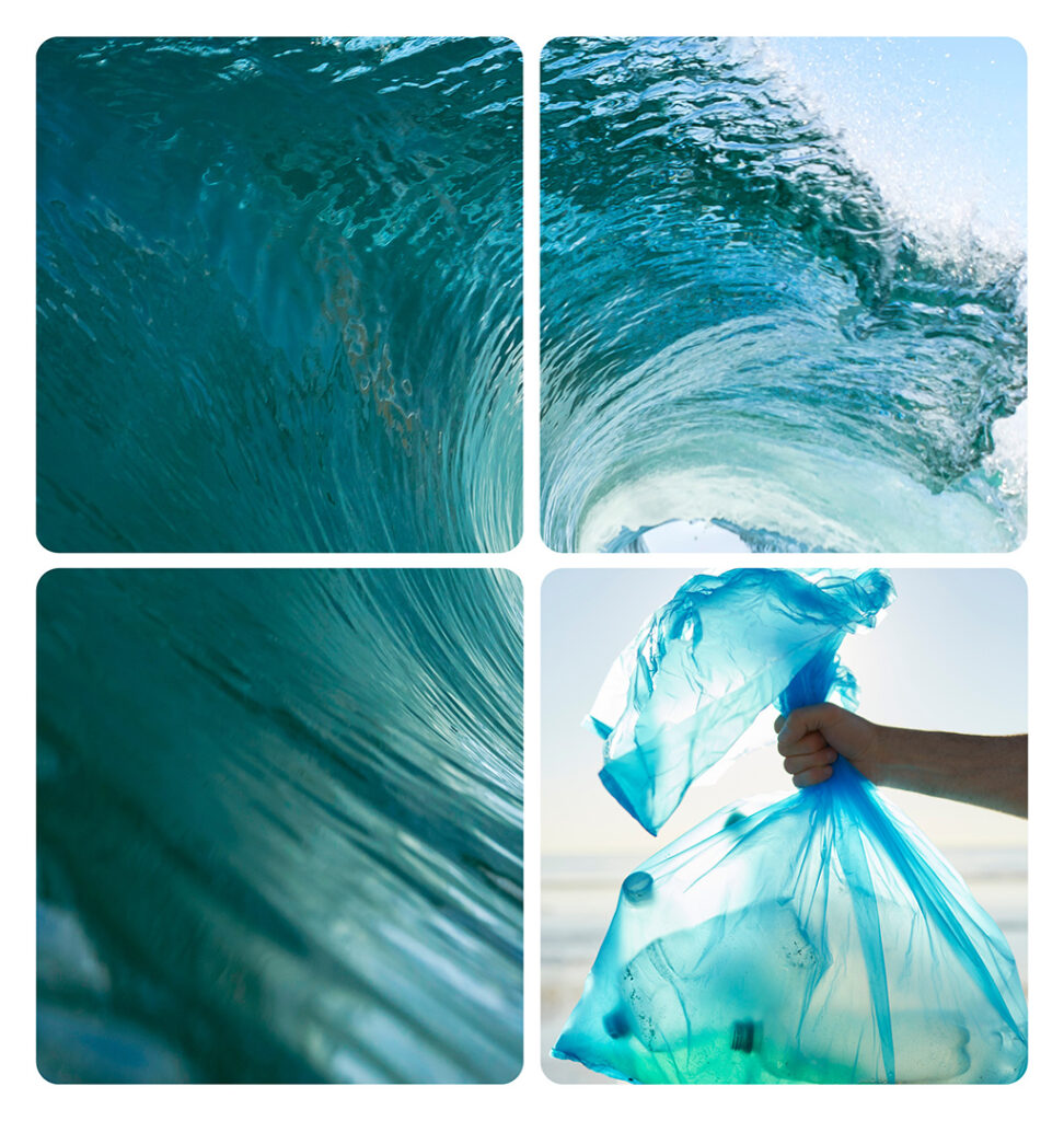 Coastal Cleanup Day
