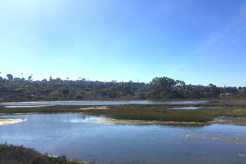 The Famosa Slough