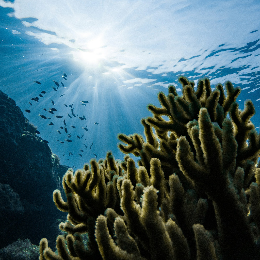 San Diego Coastkeeper