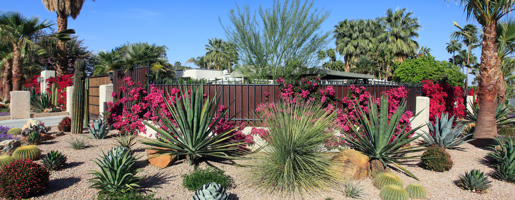 Waterwise landscaping in San Diego