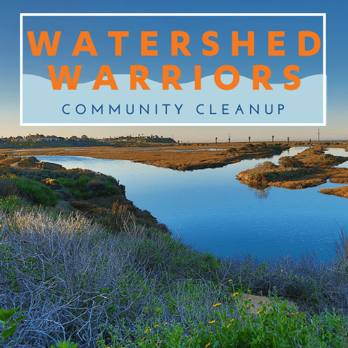 Watershed Warriors Community Cleanup